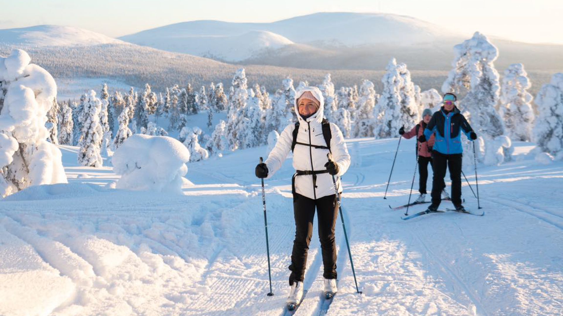 Cross-country skiing safaris