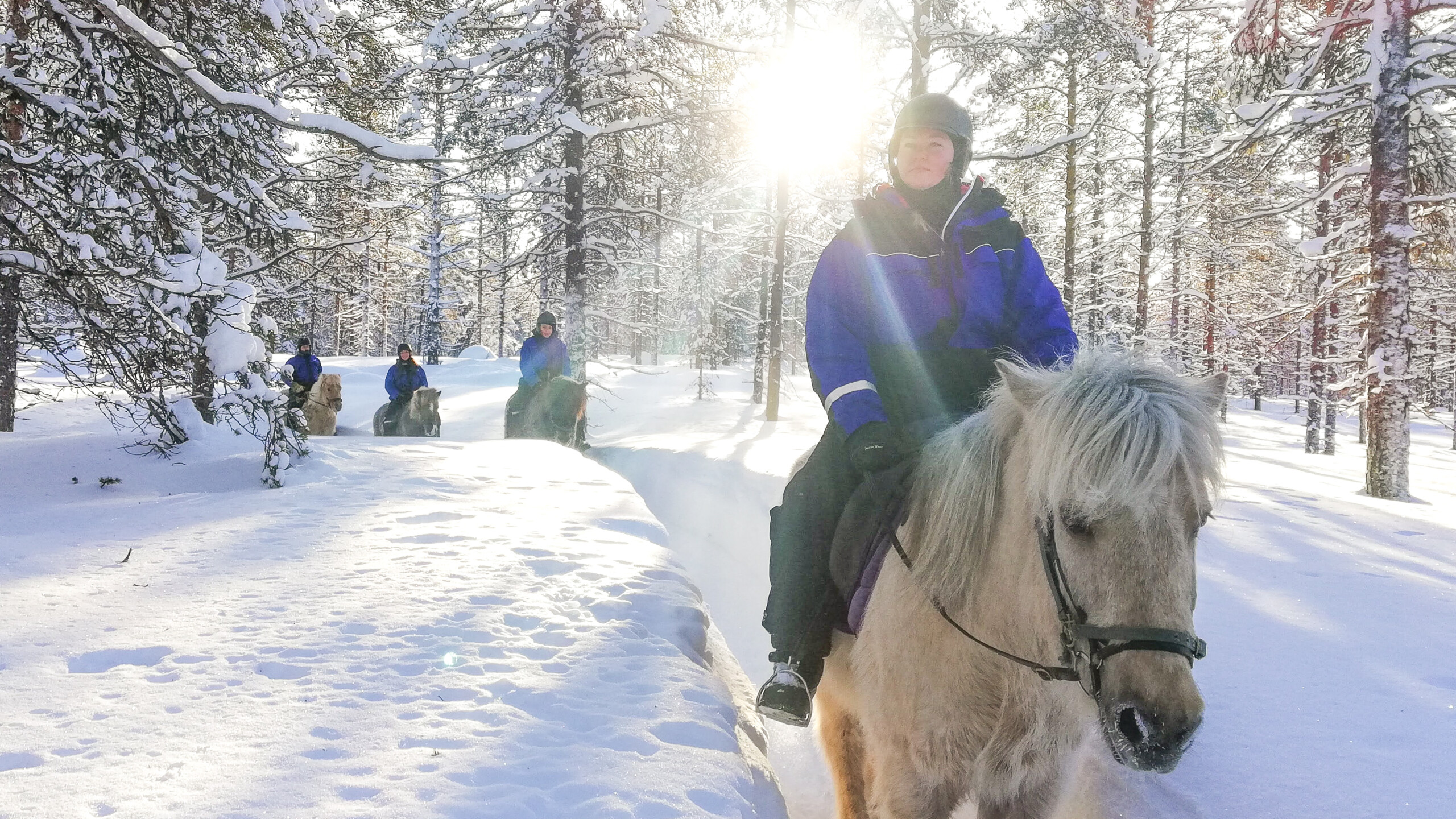 Horseback riding